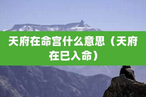 天府在命宫什么意思（天府在巳入命）