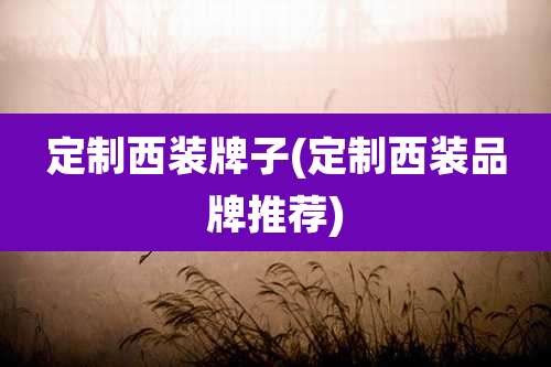 定制西装牌子(定制西装品牌推荐)