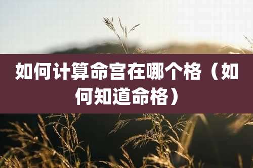 如何计算命宫在哪个格（如何知道命格）
