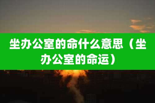 坐办公室的命什么意思（坐办公室的命运）