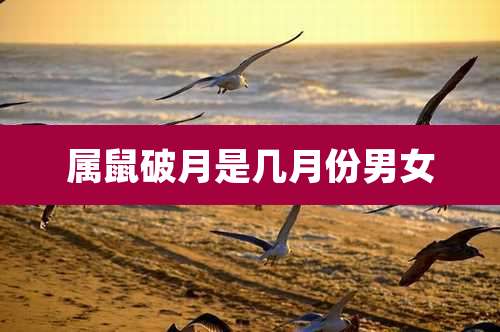 属鼠破月是几月份男女