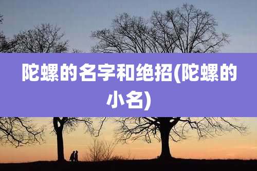 陀螺的名字和绝招(陀螺的小名)