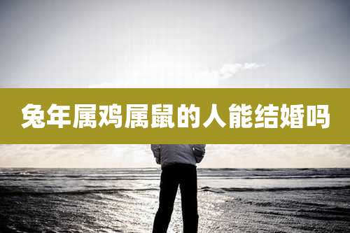 兔年属鸡属鼠的人能结婚吗