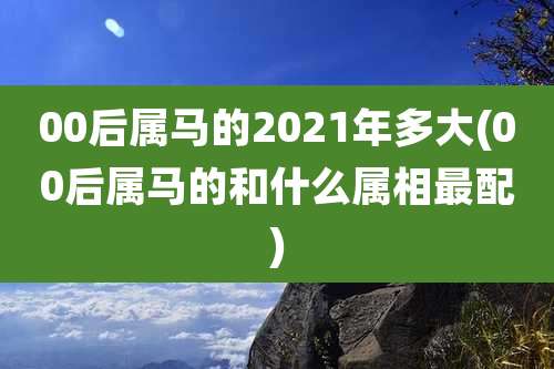 00后属马的2021年多大(00后属马的和什么属相最配)