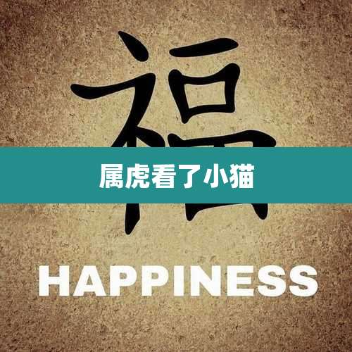 属虎看了小猫