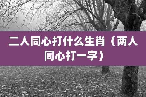 二人同心打什么生肖（两人同心打一字）