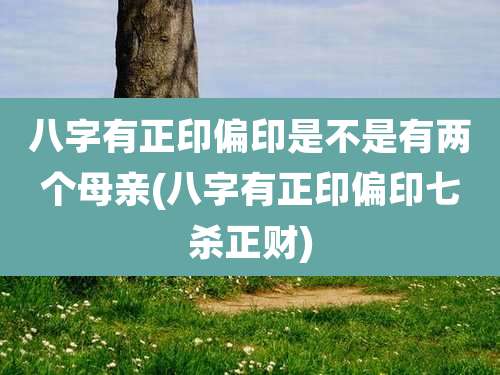 八字有正印偏印是不是有两个母亲(八字有正印偏印七杀正财)
