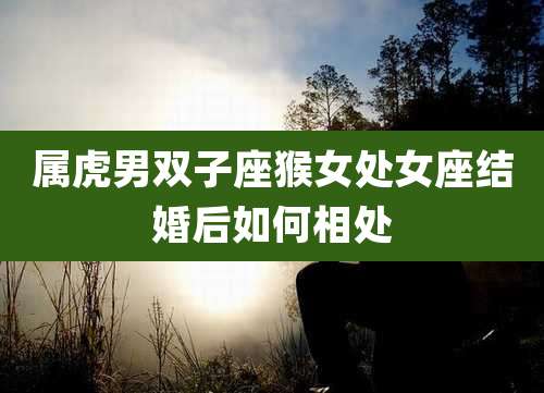 属虎男双子座猴女处女座结婚后如何相处