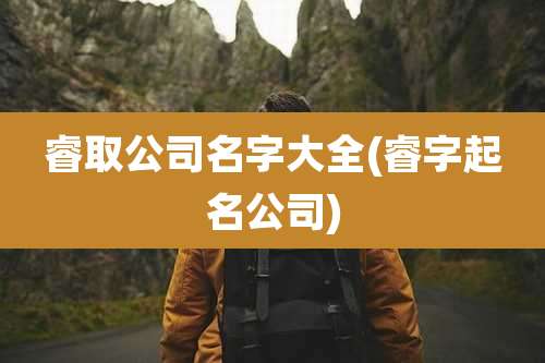 睿取公司名字大全(睿字起名公司)