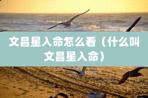 文昌星入命怎么看（什么叫文昌星入命）