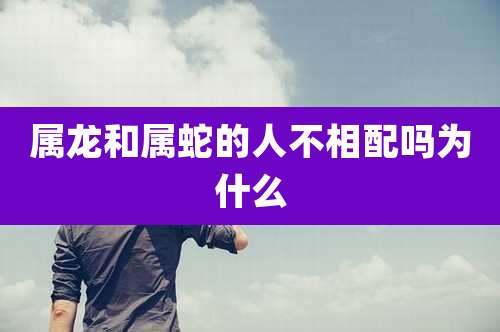 属龙和属蛇的人不相配吗为什么