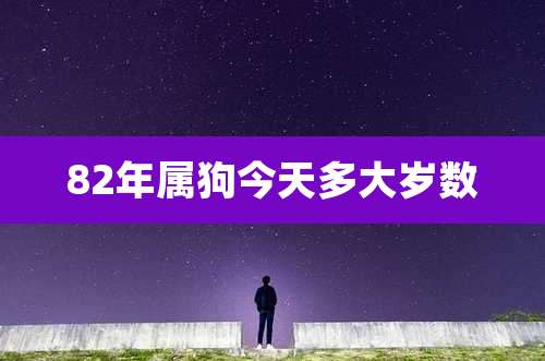 82年属狗今天多大岁数