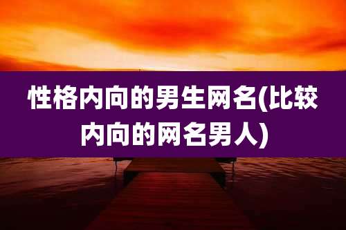 性格内向的男生网名(比较内向的网名男人)