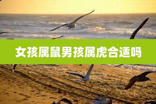 女孩属鼠男孩属虎合适吗