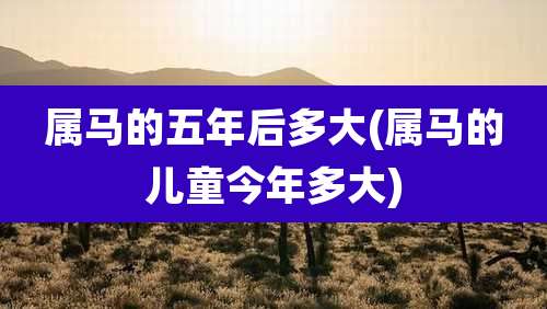 属马的五年后多大(属马的儿童今年多大)