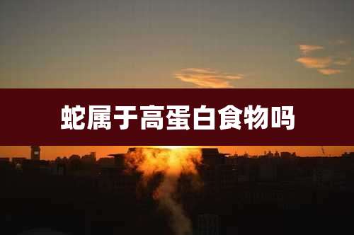 蛇属于高蛋白食物吗