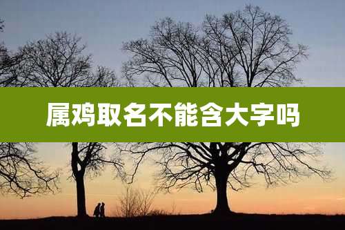 属鸡取名不能含大字吗