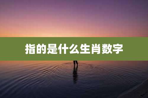 指的是什么生肖数字
