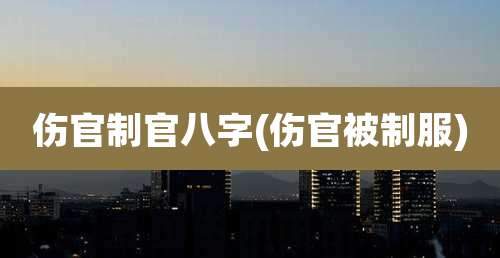 伤官制官八字(伤官被制服)