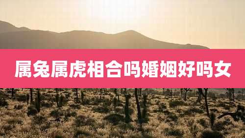 属兔属虎相合吗婚姻好吗女