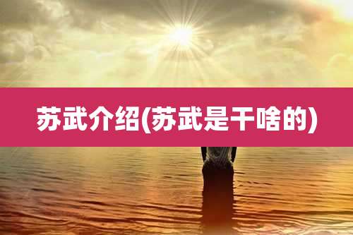 苏武介绍(苏武是干啥的)