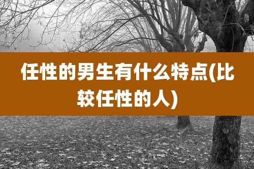 任性的男生有什么特点(比较任性的人)