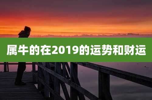 属牛的在2019的运势和财运