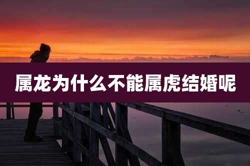 属龙为什么不能属虎结婚呢
