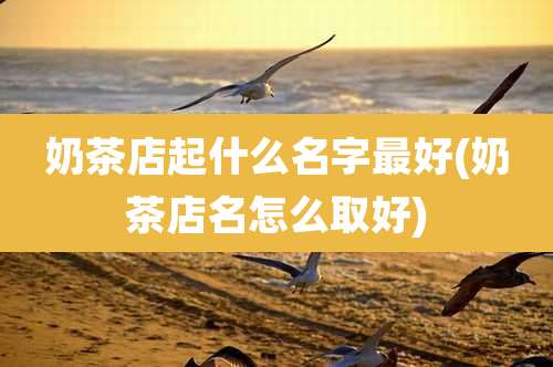奶茶店起什么名字最好(奶茶店名怎么取好)
