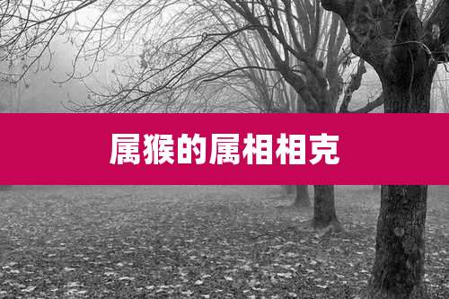 属猴的属相相克