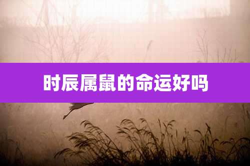 时辰属鼠的命运好吗