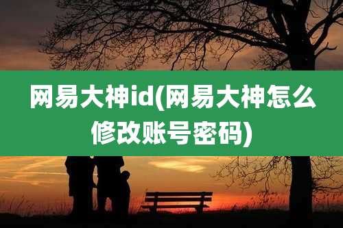 网易大神id(网易大神怎么修改账号密码)