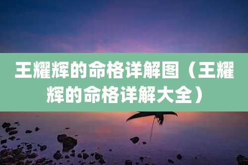 王耀辉的命格详解图（王耀辉的命格详解大全）