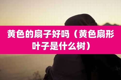 黄色的扇子好吗(黄色扇形叶子是什么树)