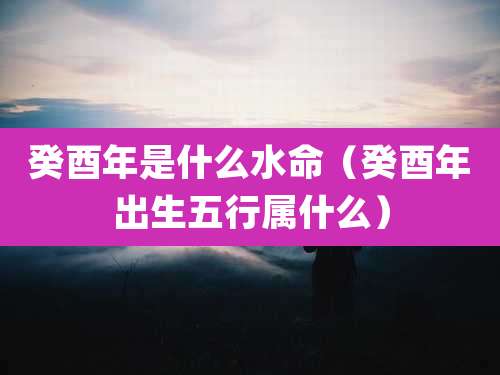 癸酉年是什么水命（癸酉年出生五行属什么）