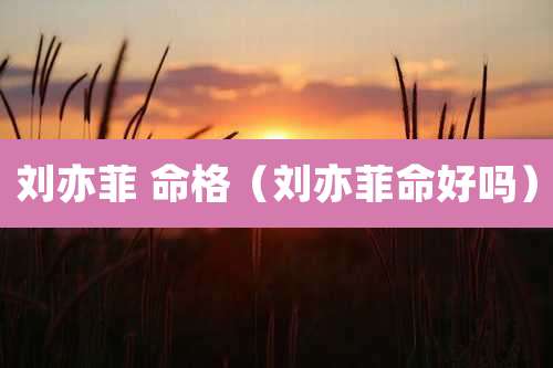 刘亦菲 命格（刘亦菲命好吗）