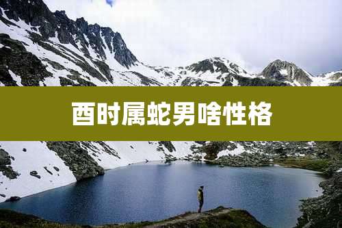 酉时属蛇男啥性格