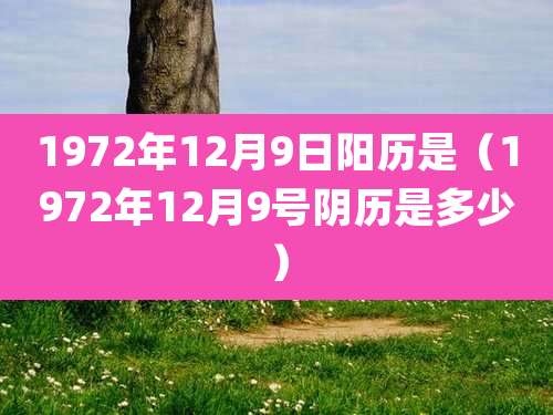 1972年12月9日阳历是（1972年12月9号阴历是多少）