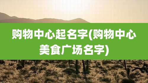 购物中心起名字(购物中心美食广场名字)