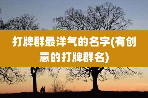 打牌群最洋气的名字(有创意的打牌群名)