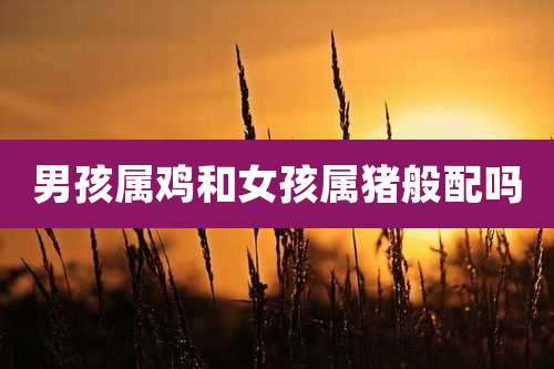 男孩属鸡和女孩属猪般配吗