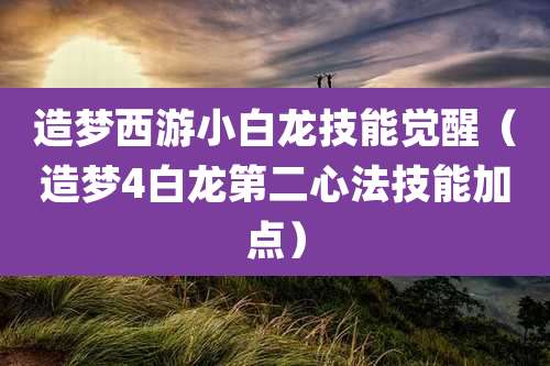 造梦西游小白龙技能觉醒（造梦4白龙第二心法技能加点）