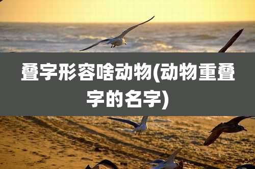 叠字形容啥动物(动物重叠字的名字)