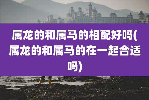 属龙的和属马的相配好吗(属龙的和属马的在一起合适吗)