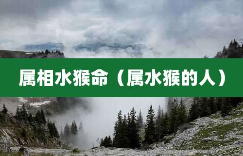 属相水猴命（属水猴的人）