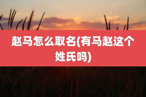 赵马怎么取名(有马赵这个姓氏吗)