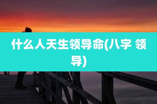 什么人天生领导命(八字 领导)