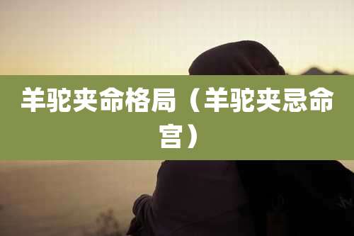 羊驼夹命格局（羊驼夹忌命宫）