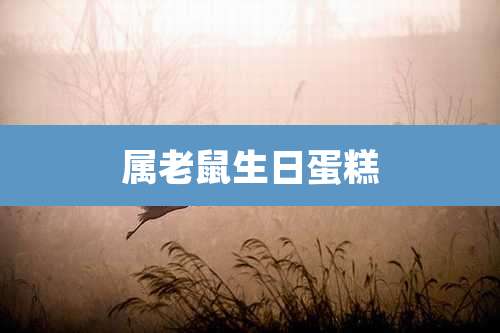 属老鼠生日蛋糕