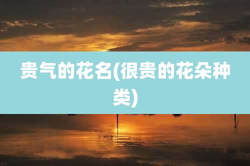 贵气的花名(很贵的花朵种类)